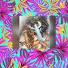 WHITE LOBSTER LIFESTYLE(THE FISHERMAN STORY) (Explicit) - GoldTooth