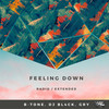 Feeling Down (Extended Mix) - B-Tone&DJ BL4CK&Gry