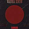 Wanna Know (Explicit) - TyDaProblem&Everyday Poet