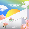 Bloom (nowifi Remix) - Lucas Estrada&TWOPILOTS&nowifi&Christina Lacy&Samuel Bentley