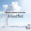 One Night with You - Armand Mont