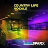 Are You Thinking of Me (Country Vocals) - Side FX and Kim Cameron