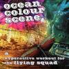 Waving Not Drowning - Ocean Colour Scene