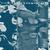 Sidestepped - Oliver Coates