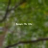 Images The City - The Bad Habits