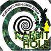 Rabbit Hole (Explicit) - Rcthahazard&J-Clawsin&Zed Bean&Orion