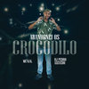 Abandonei Os Crocodilo - MC Kal&Dj Pedro Azevedo