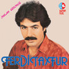 Aşk Acı Şaraptır - Ferdi Tayfur