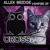 Got The Music In Me (Original Mix) - Allex Bridge&Iulian Canaf