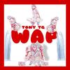 WAP (Explicit) - TONY TG