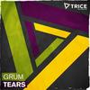 tears SF (Remix) - Grum&Barrientos&Illyus