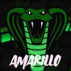 Amarillo(feat. Camy Dj) - Dj Reptile&Camy Dj