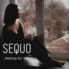 Waiting for You - Sequo