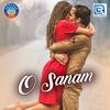 O Sanam - Human Sagar