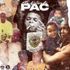 G-23 (Explicit) - PNDRN