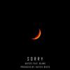 Sorry (feat. Blame) (Explicit) - Smalltalk&Blame