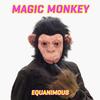 Magic Monkey - Equanimous