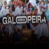 Galopeira(feat. Mc Rennan & MC Menor MT) (Explicit) - Dj Carlinhos Da S.R&dj tg beats
