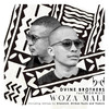 Woza Mali (Afrikan Roots Chuba Cabra Remix) - Dvine Brothers&Nokwazi&Afrikan Roots