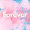 Forever(feat. Colin Egan) - Swede Dreams&Colin Egan