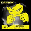 Doors In The Storm (Original Mix) - Loverdose