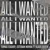 All I Wanted (Original Mix) - Tomas Esguep&Esteban Novoa&Klaus Brien