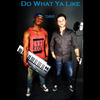 Do What Ya Like (Explicit) - S&R