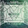 The Purist (Alan Hash Remix) - Elio Riso&Alejandro Arroyo