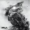 Pixie (Original Mix) - Paul Adam&Gigi Verdoscia