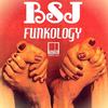 Funkology (Original Mix) - Bsj