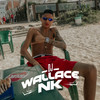 HIT DE VERÃO (Explicit) - Dj Wallace Nk