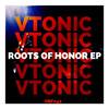 Flourishing (Soulful Funk Mix) - VTonic