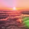 Love Me Then - Avens