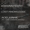 Acid Junkie (Chris Hampshire Rework) - Eamonn Fevah&Lost Knowledge