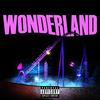 Wonderland (Explicit) - AMS The lost son