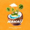 Hawaii(feat. Sebastian Bayl) - Papi Ruiz&Sebastian Bayl