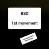 1st movement - BSD