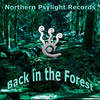 Northern Psylight (Original Mix) - N3XU5