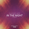 In The Night (Shimmer) (Playground Zer0 Remix) - Ducked Ape