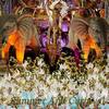 Summer & Carnival (Original Mix) - Pavel Prokudin