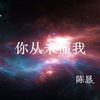 你从未懂我 - 陈恳