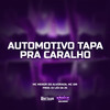 Automotivo Tapa Pra Caralho (Explicit) - MC Menor do Alvorada&MC GW&DJ LEO DA ZS