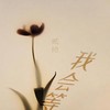 我会等 - 贰拾