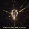 True To The Idea (Original Mix) - Tokah&Lykro