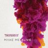 Make Me Alive (Eriq Johnson Remix) - Twopandas