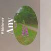 Charlottenburg - Noria Yean