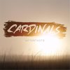 When I'm Gone (Acoustic|Explicit) - Cardinals