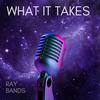 What it Takes (Explicit) - Ray Bands