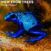 Final Poison (Henry Navarro Remix) - View From Trees&Henry Navarro