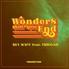 Wonders Shall Never End (feat. Triggah) - Rey Macc&Triggah